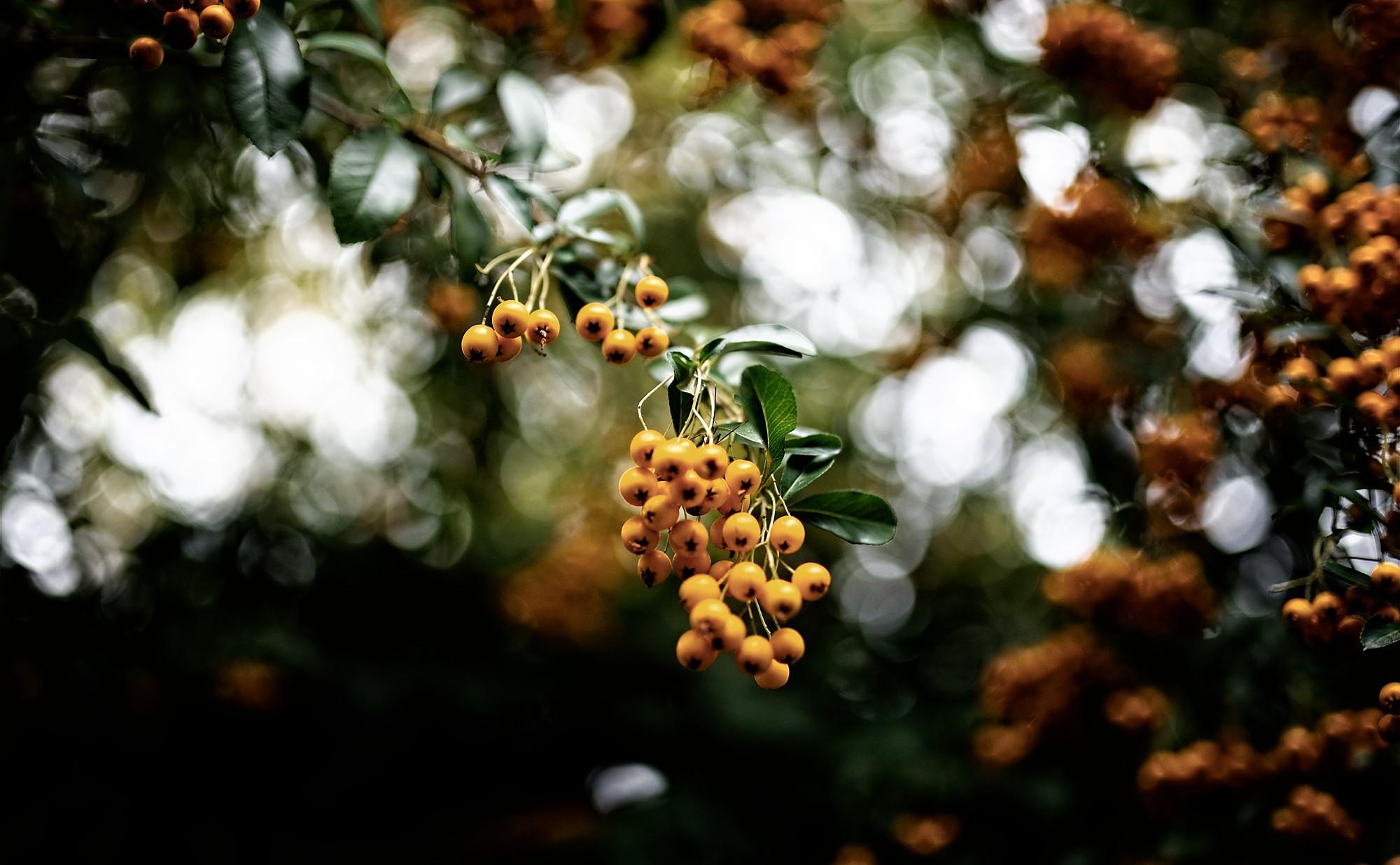 VG_850_0046_on1-2000